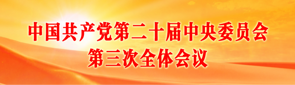 中国共产党第二十届中央委员会第三次全体会议