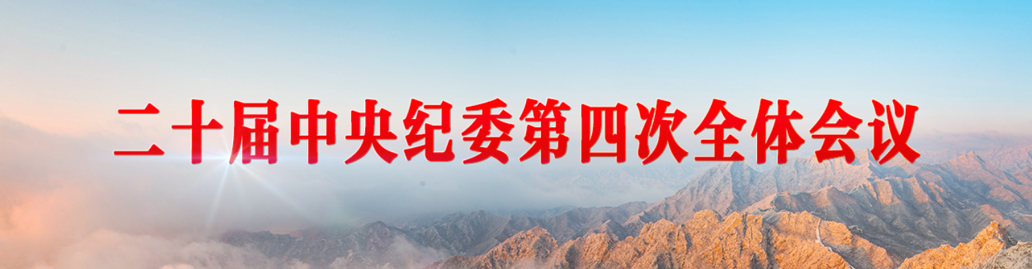 二十届中央纪委第四次全体会议