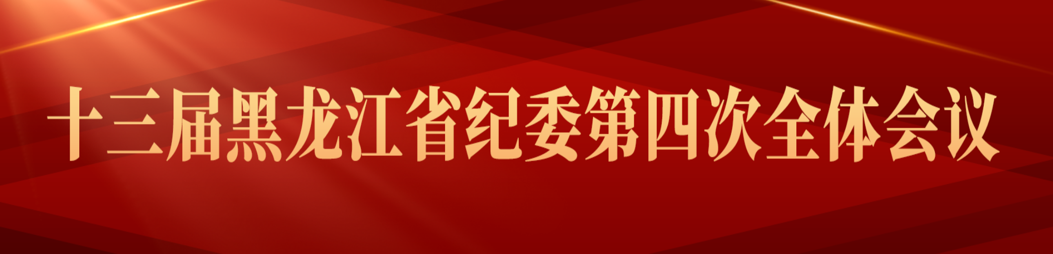 十三届黑龙江省纪委第四次全体会议