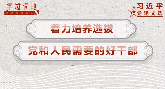 学习词典•习近平党建文选丨着力培养选拔党和人民需要的好干部 