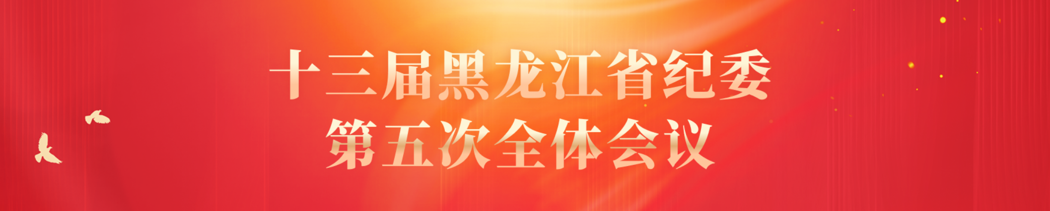 十三届黑龙江省纪委第五次全体会议